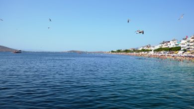 avsa-adasi-rehberi-2024